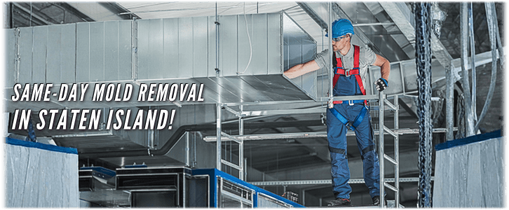 Air Duct Mold Removal in Staten Island